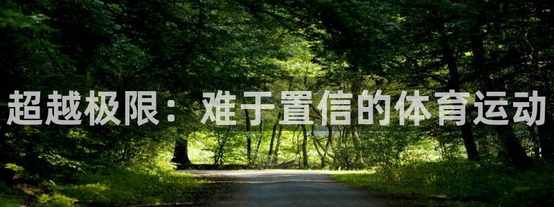 678体育