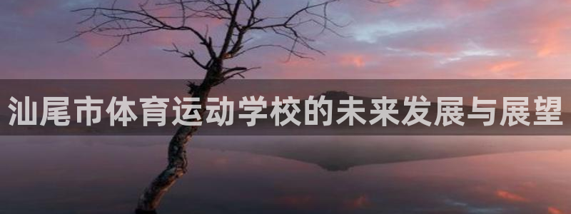 678体育app
