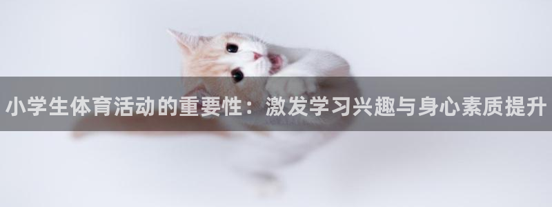 678体育官网地址