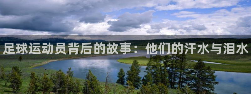 678体育官网