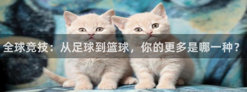 678体育知识