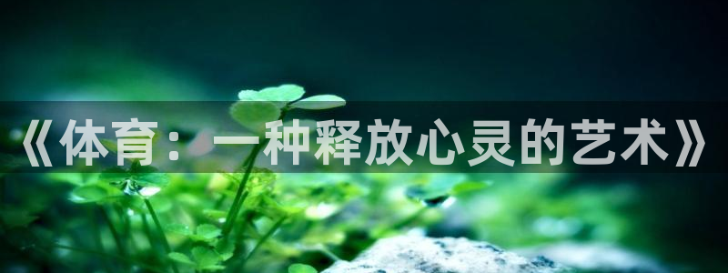 678体育官网地址