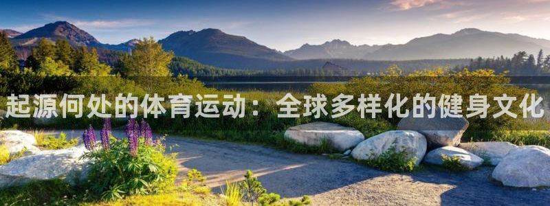 678体育官网地址
