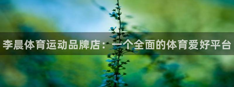 678体育