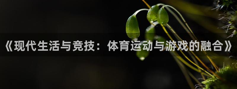678体育官网地址