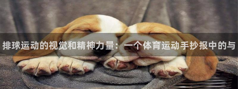 678体育官网地址