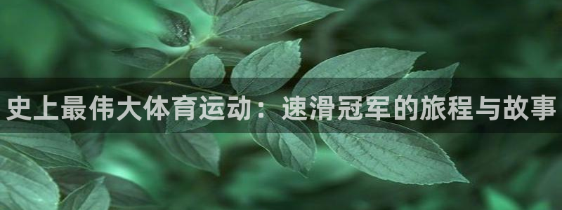 678体育官网地址