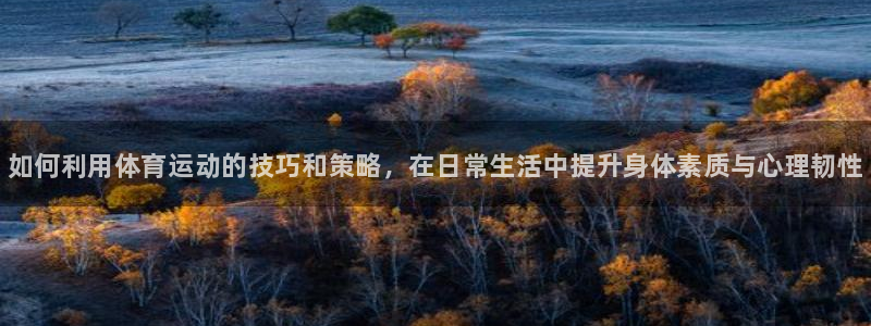 皇冠678体育