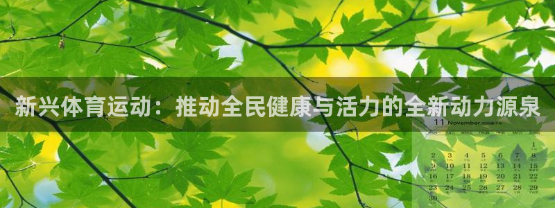 678体育官网地址