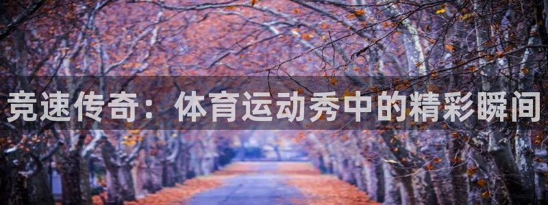 678体育app