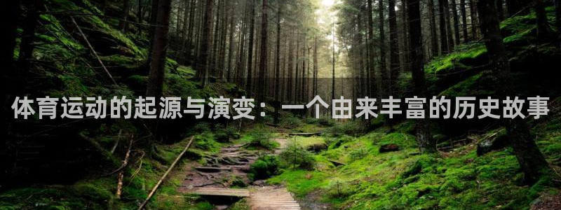 678体育官网地址