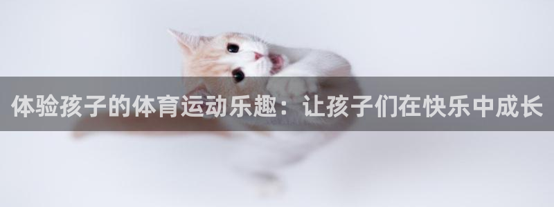 678体育官网地址