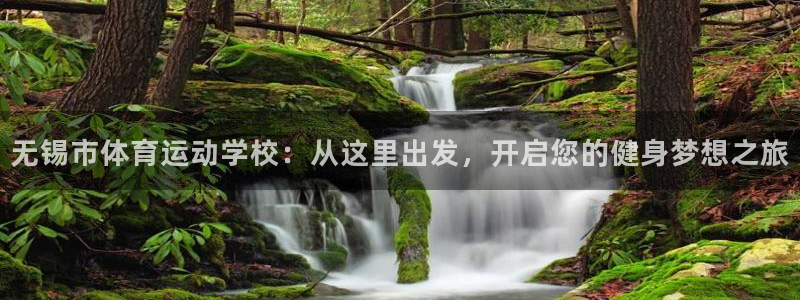 678体育