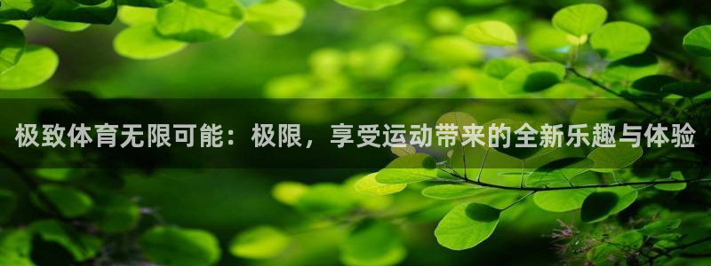 678体育官网地址