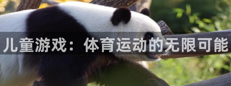 678体育知识