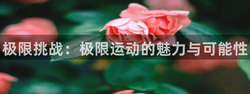 皇冠678体育