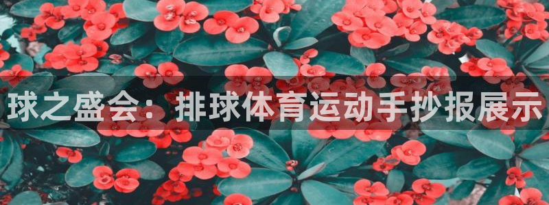 678体育知识