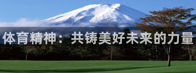 678体育