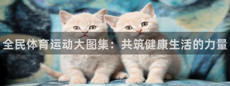 678体育