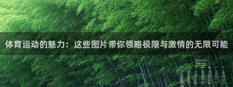 678体育官网地址