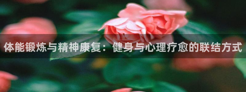 678体育官网