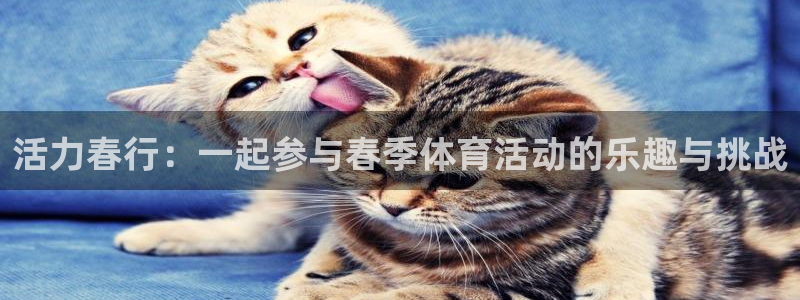 678体育官网地址