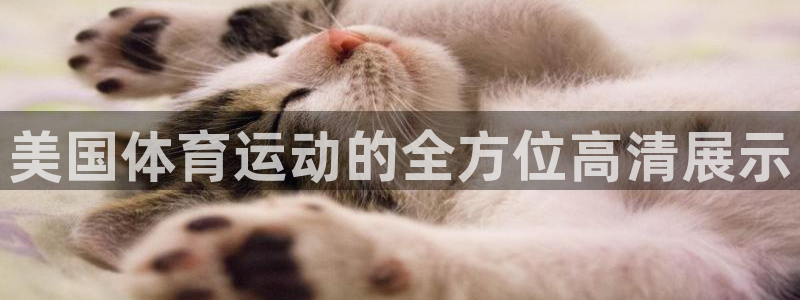 678体育官网