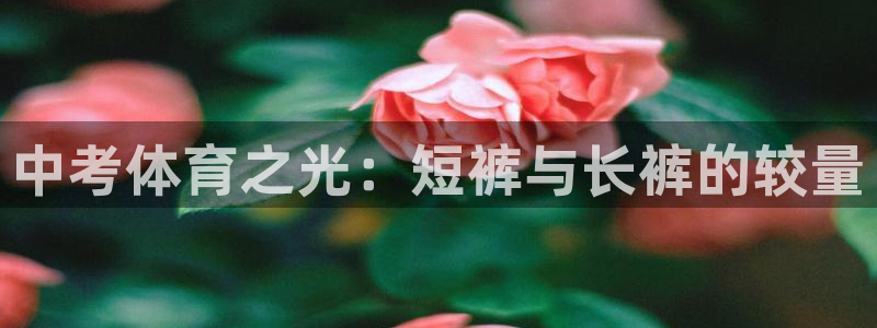678体育官网